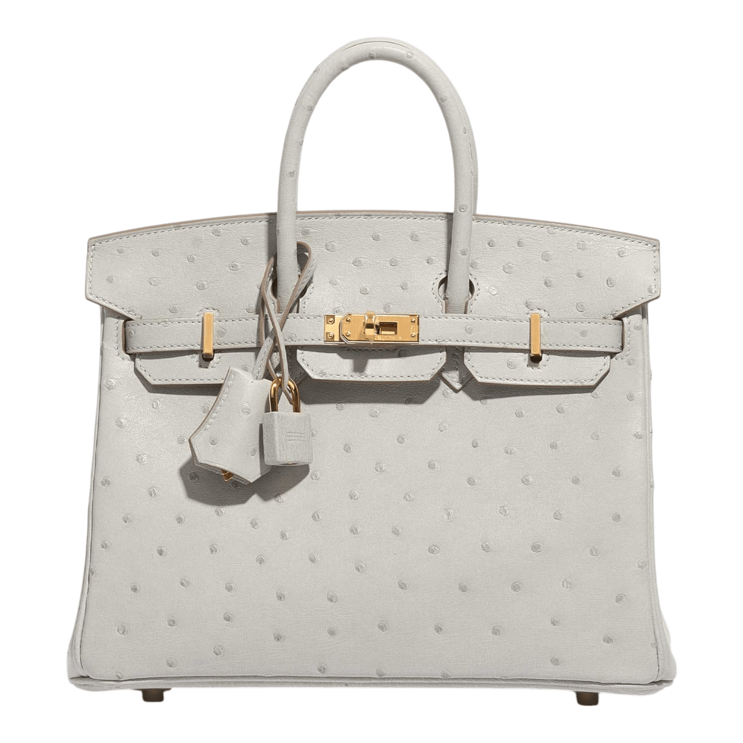 nv-bag-1847 Hermès Birkin 25 cm Horse Shoe Stamped Autruche Gris Perle Verso Orange Capucine Gold Hardware - Image 1