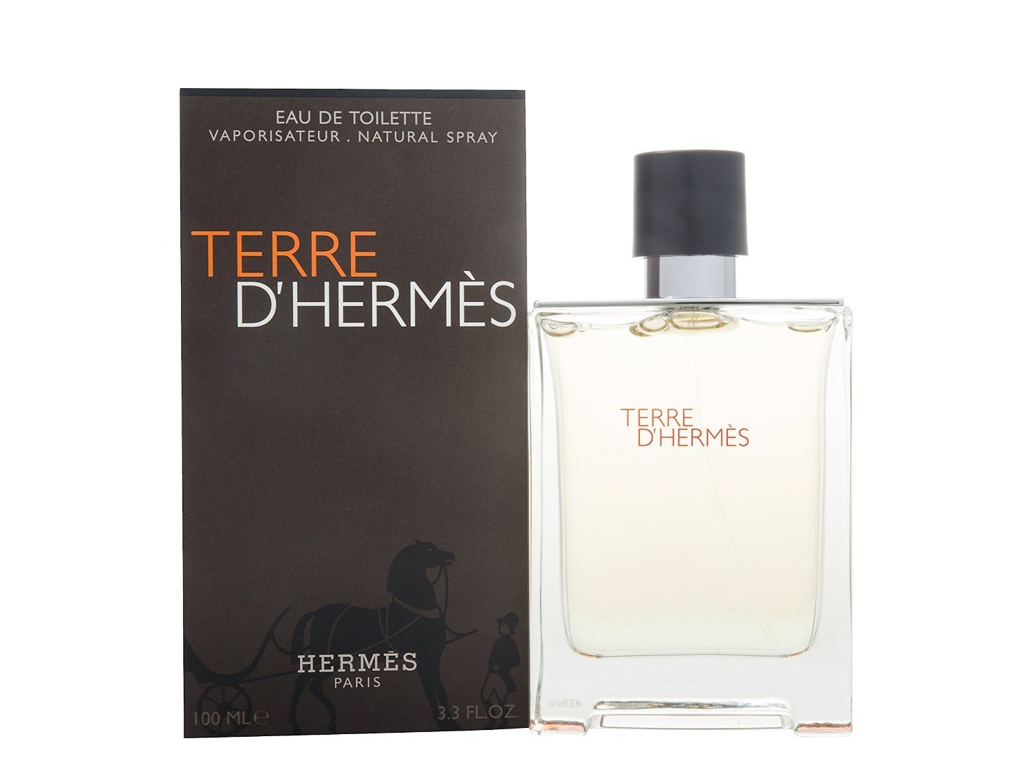 perfimg-0091-dm-20260731160433-001 Hermès — HERMES TERRE D'HERMES EDT SPRAY - Image 1